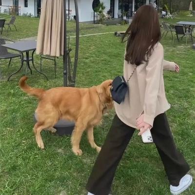 苏丹娜的梦